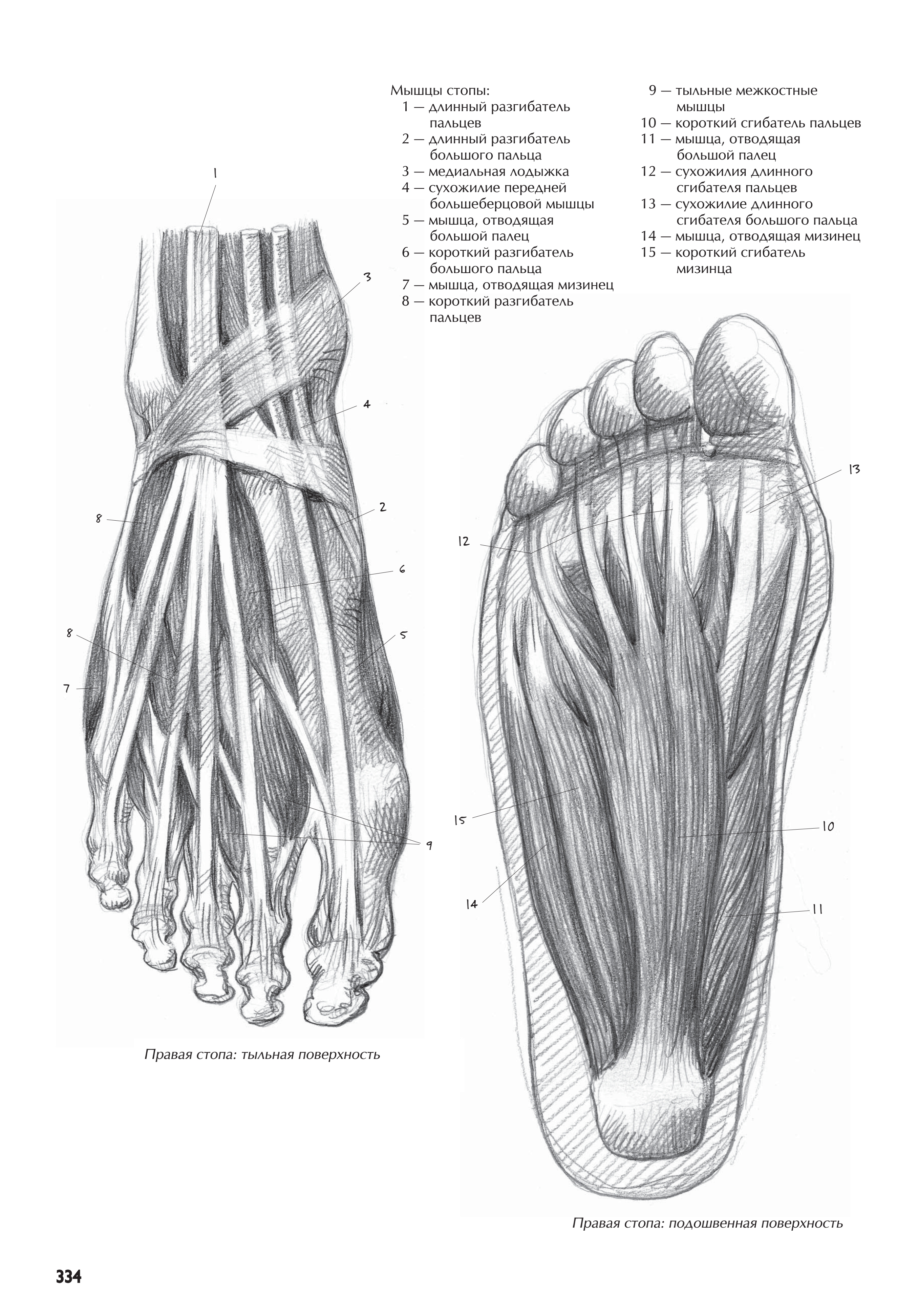 آموزش نقاشی طراحی سیاه قلم شهرری
